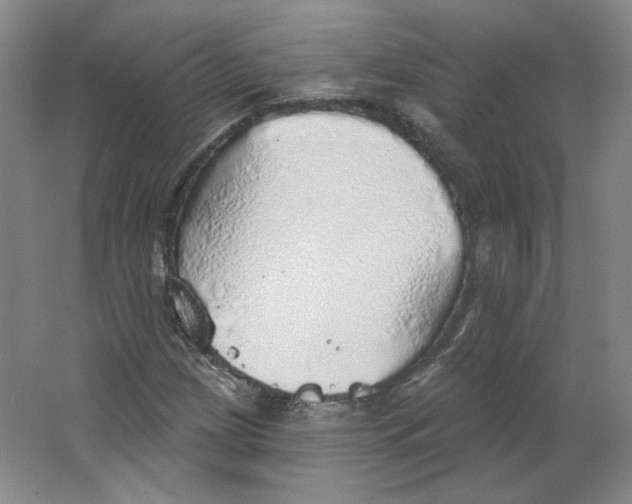 X0000063451209200602101639