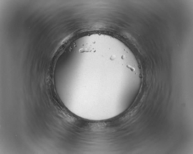 X0000063451210200602101639