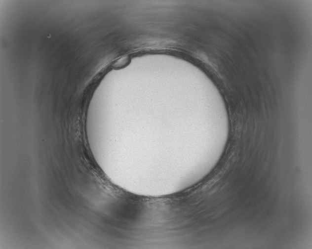 X0000063451211200602101639