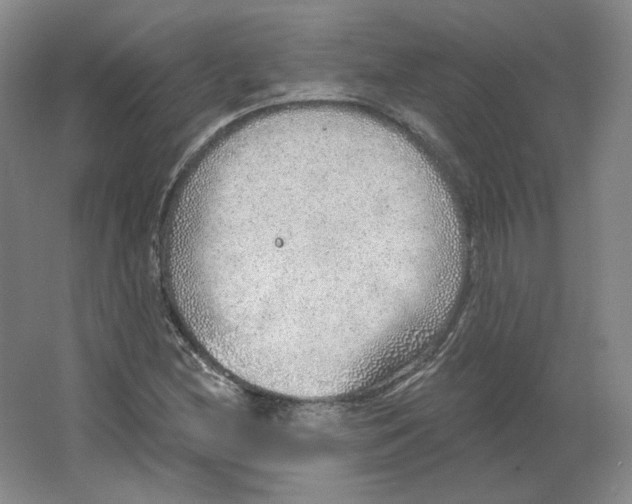 X0000063451212200602101639