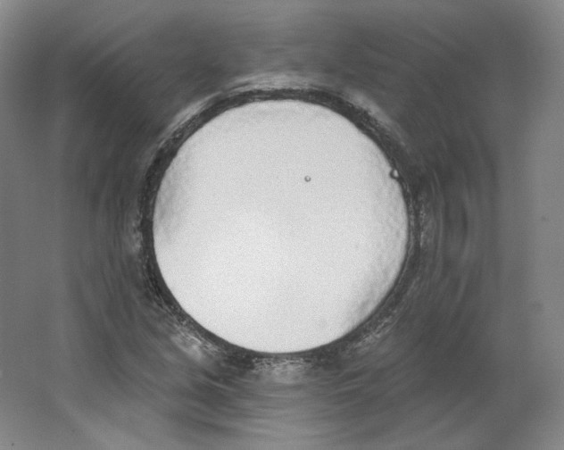 X0000063451213200602101639