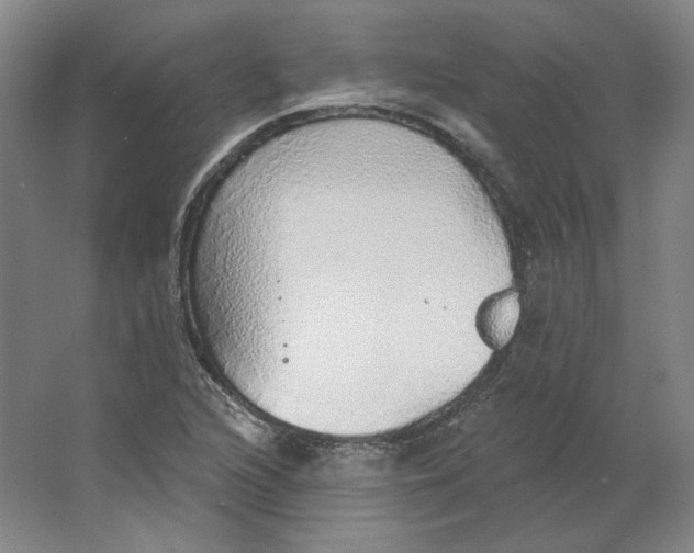 X0000063451216200602101640