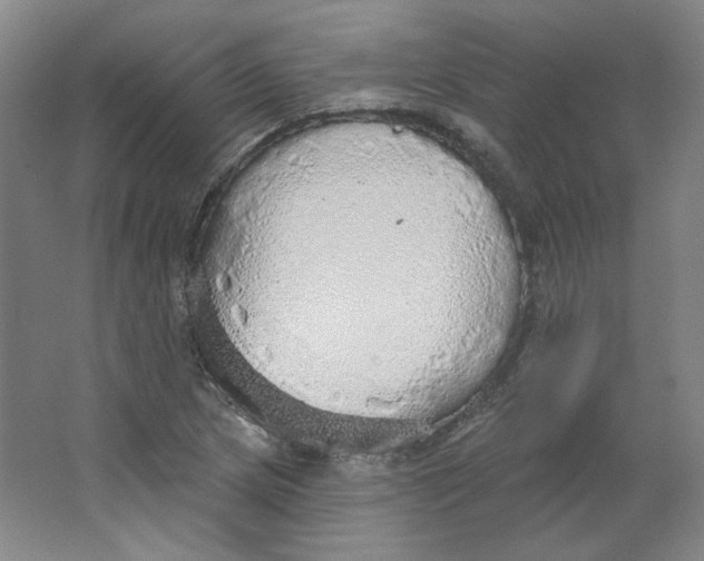 X0000063451217200602101640