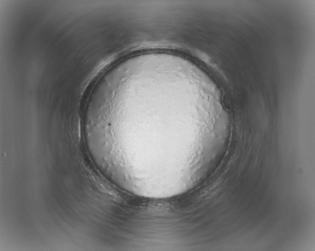 X0000063451221200602101640