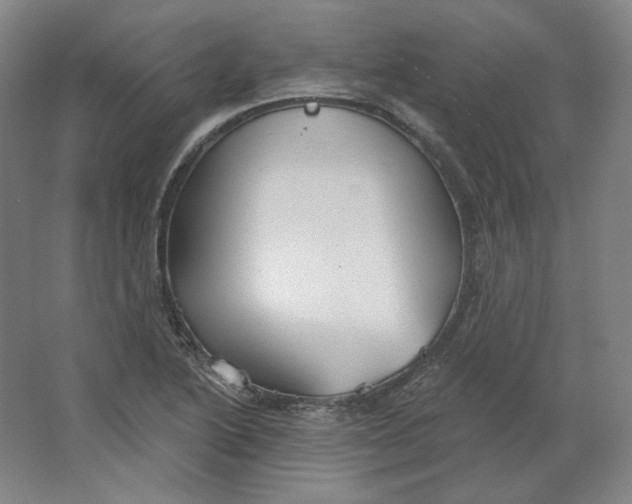 X0000063451222200602101640