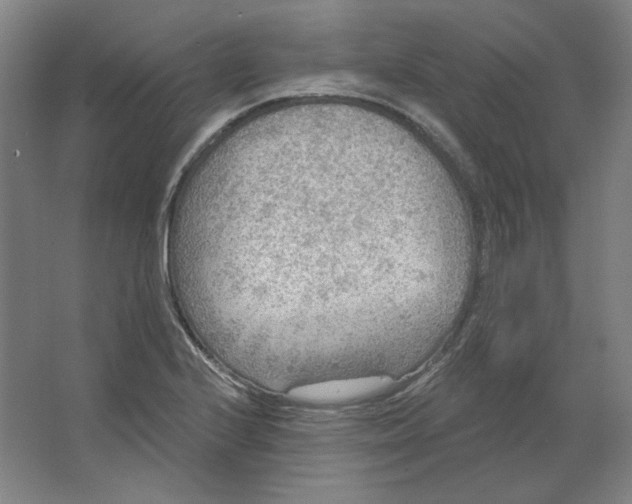 X0000063451224200602101640