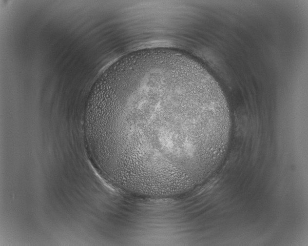 X0000063451225200602101640