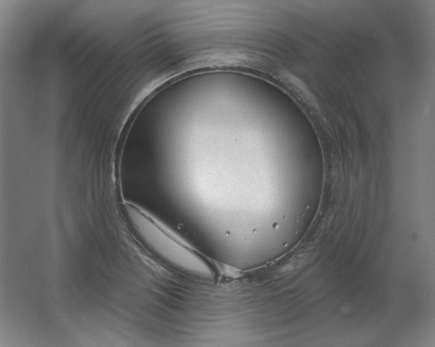 X0000063451226200602101640