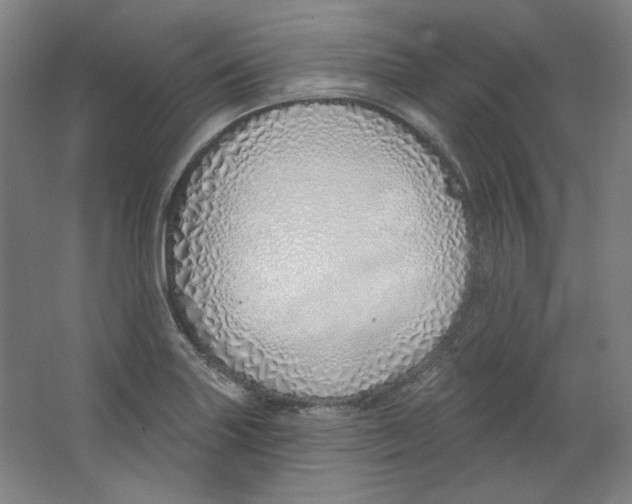 X0000063451227200602101640