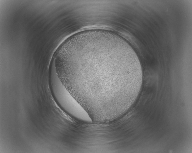 X0000063451228200602101640