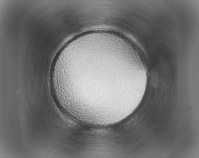 X0000063451229200602101640