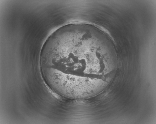 X0000063451231200602101640