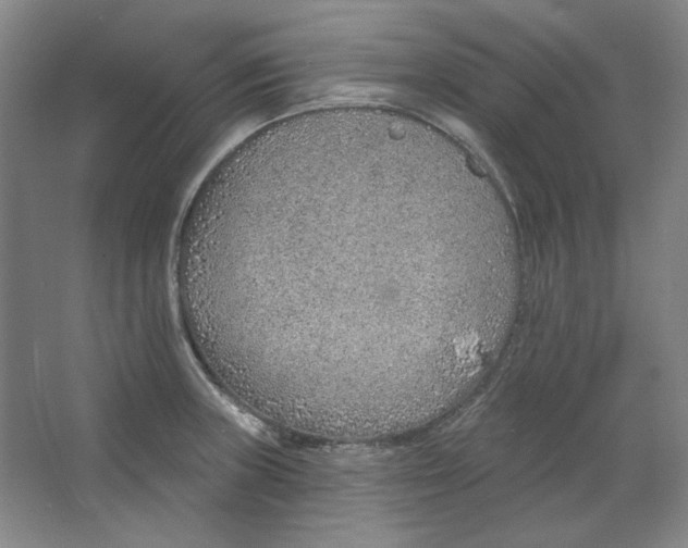 X0000063451235200602101640