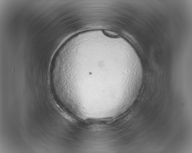 X0000063451236200602101640