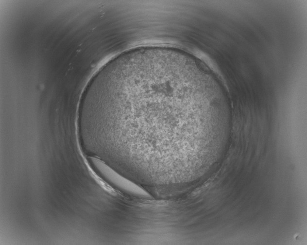 X0000063451237200602101640