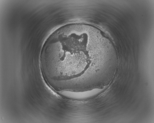 X0000063451239200602101640