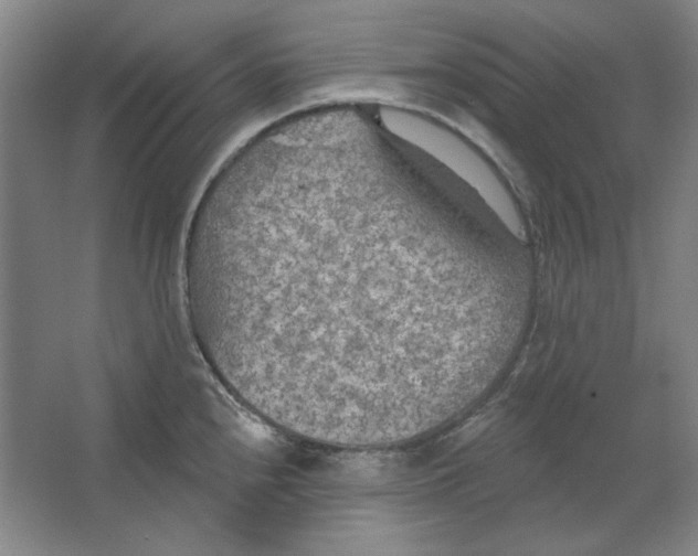 X0000063451240200602101640