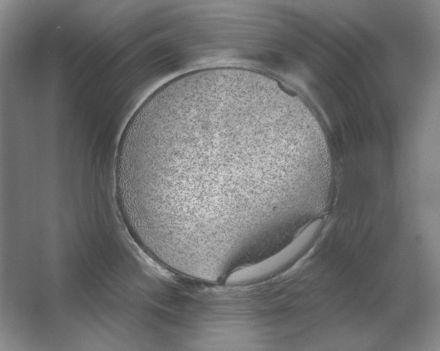 X0000063451244200602101640