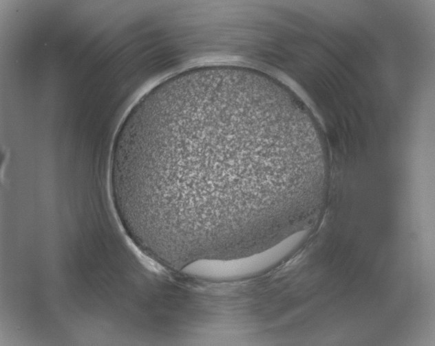 X0000063451245200602101640