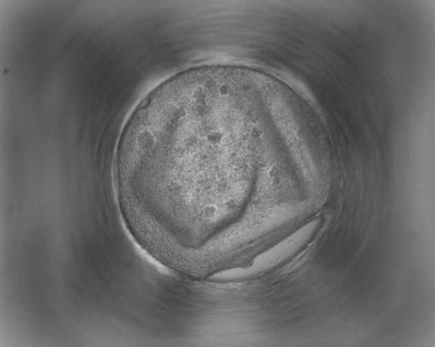 X0000063451247200602101640