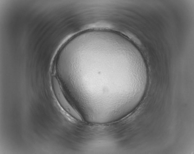 X0000063451248200602101640