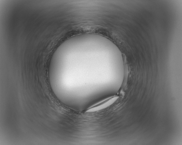 X0000063451249200602101639