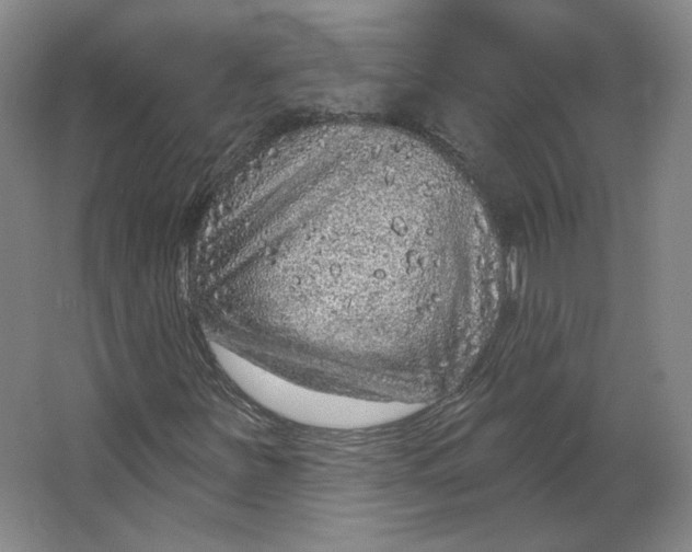 X0000063451251200602101639