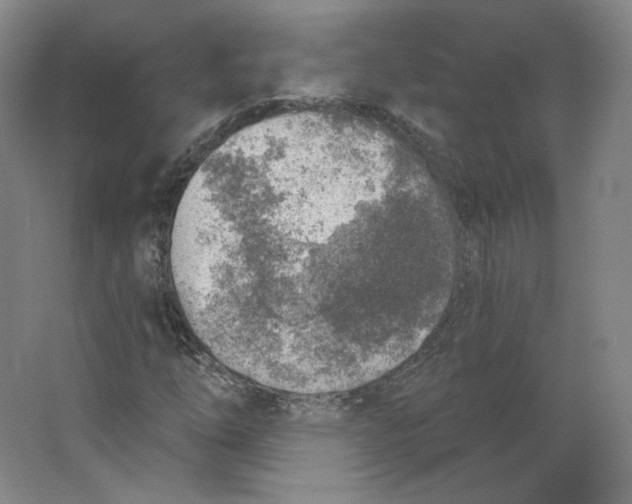 X0000063451254200602101639