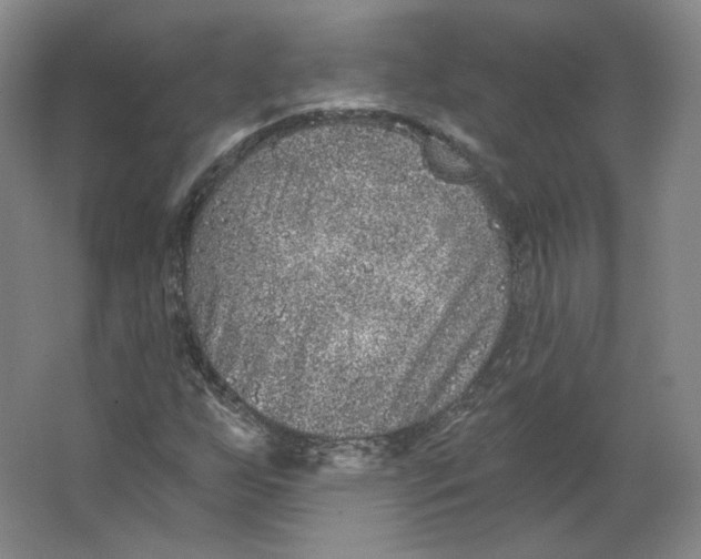 X0000063451255200602101639