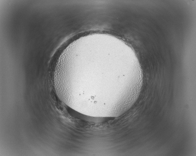 X0000063451256200602101639