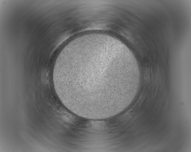 X0000063451258200602101639