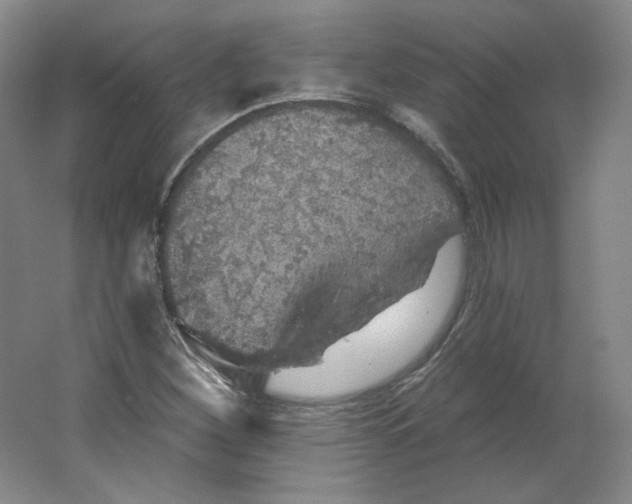 X0000063451260200602101639