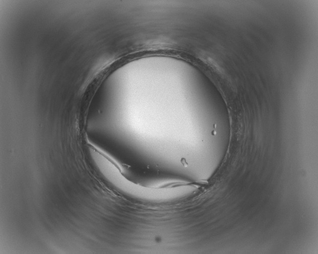 X0000063451261200602101639