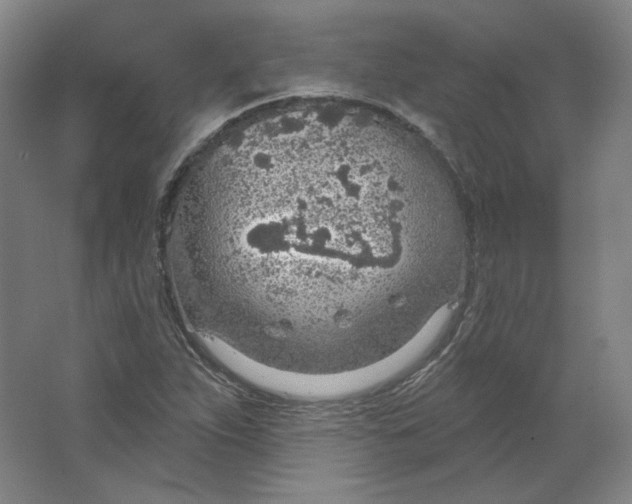 X0000063451263200602101639