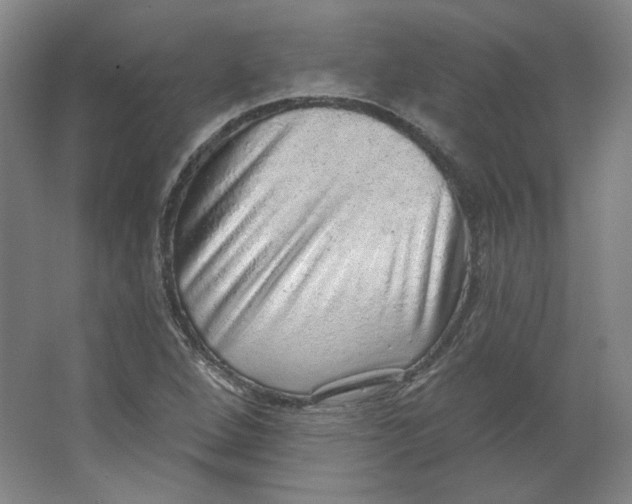 X0000063451264200602101639