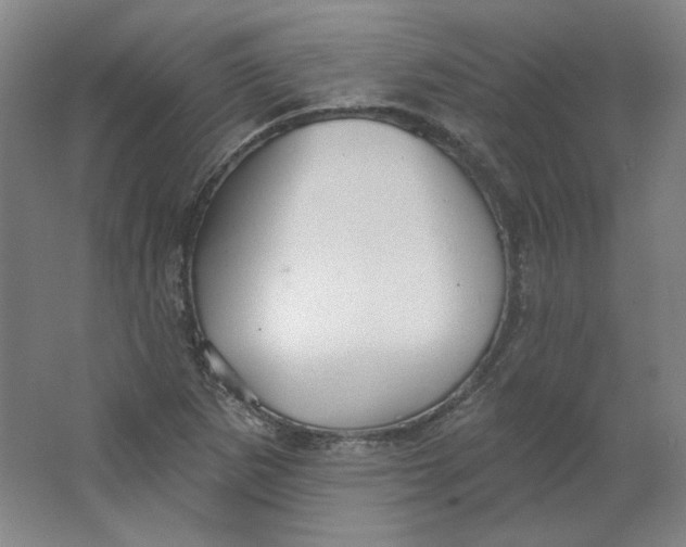 X0000063451265200602101639