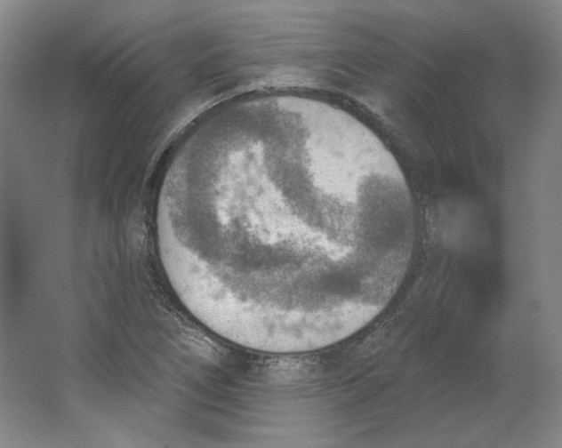 X0000063451266200602101639