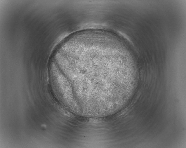 X0000063451267200602101639