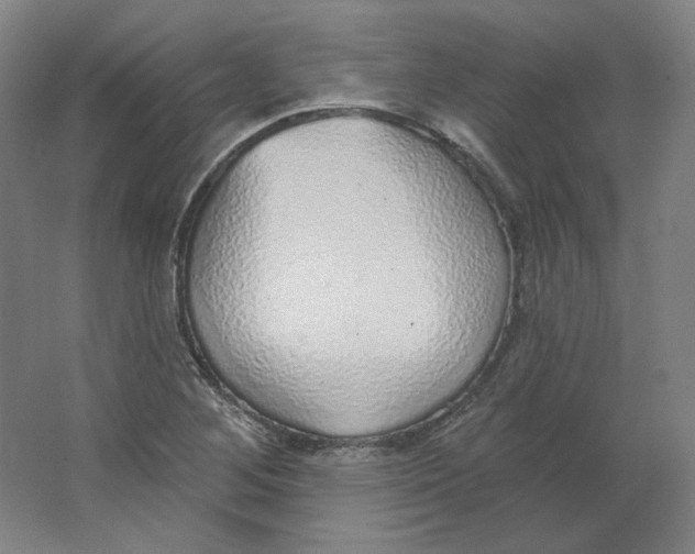 X0000063451268200602101639