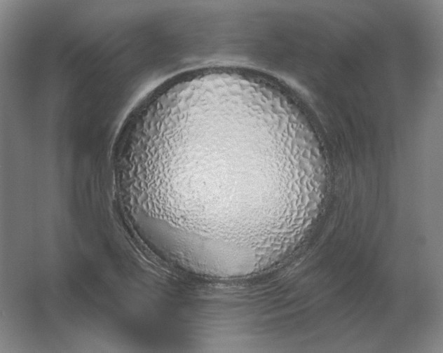 X0000063451271200602101639