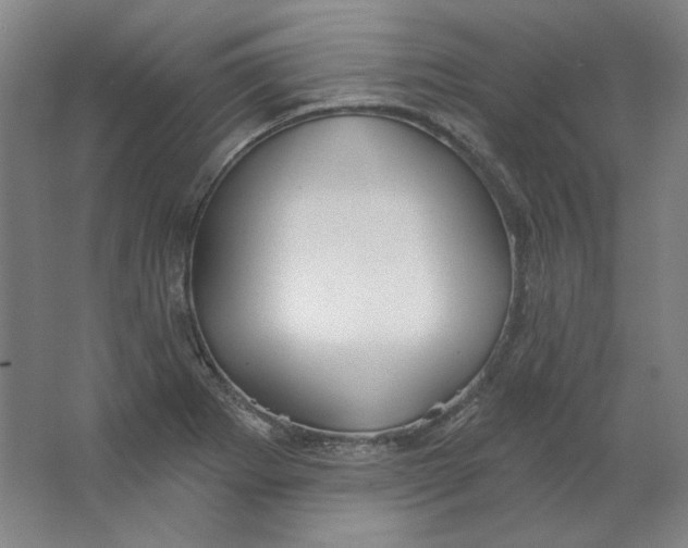 X0000063451273200602101639