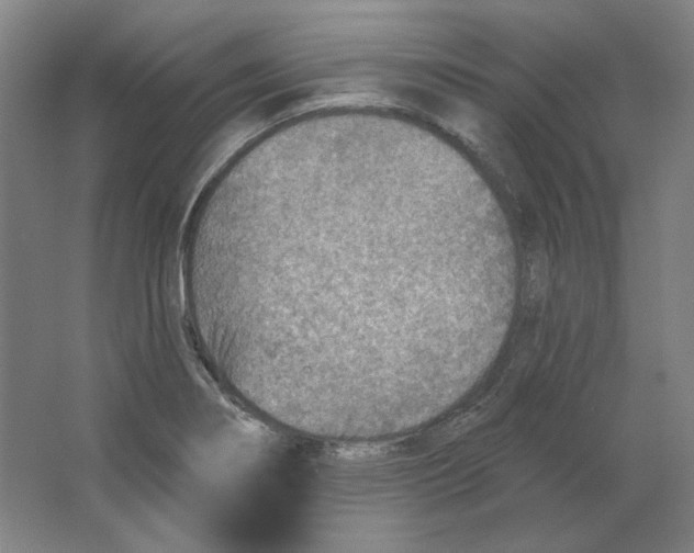 X0000063451274200602101639