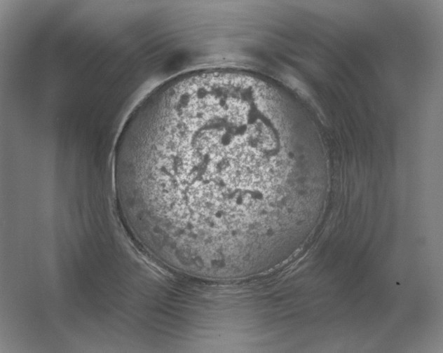 X0000063451275200602101639