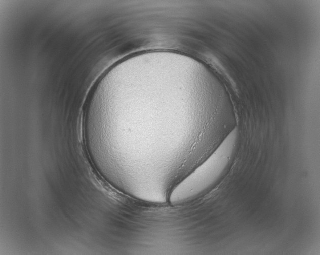 X0000063451276200602101639