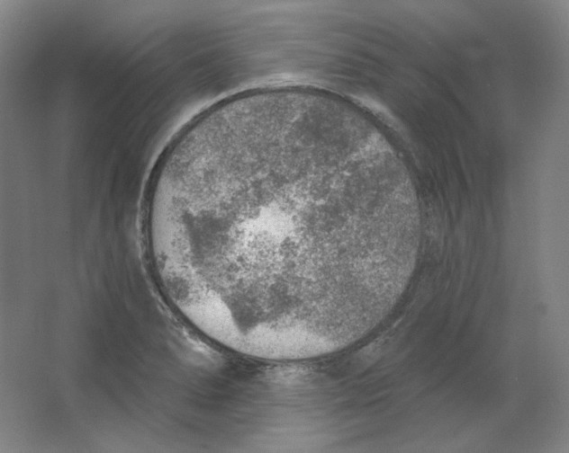 X0000063451278200602101639