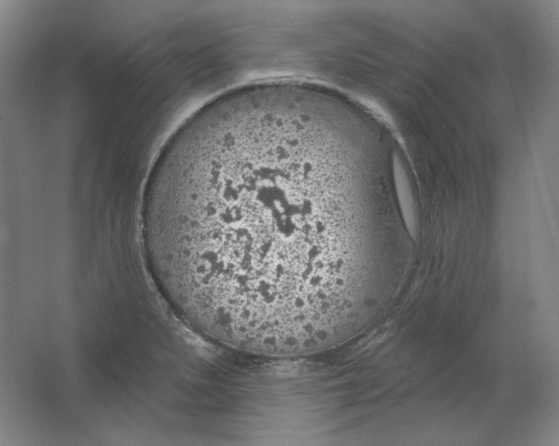 X0000063451279200602101639