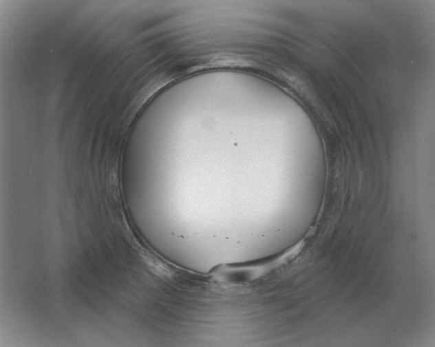 X0000063451281200602101639