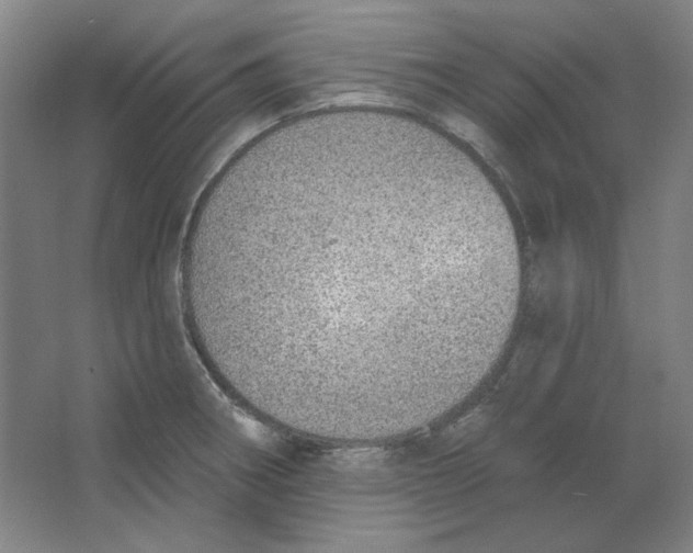 X0000063451282200602101639