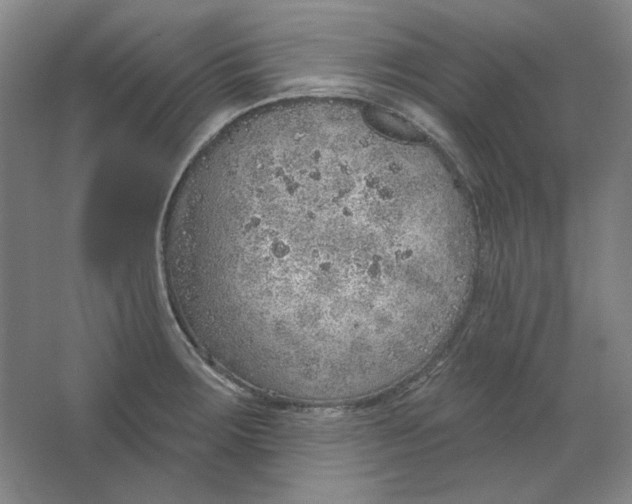 X0000063451283200602101639