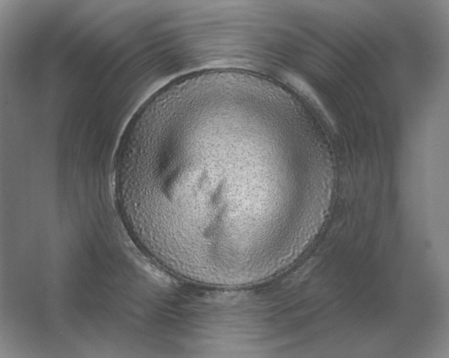 X0000063451284200602101639